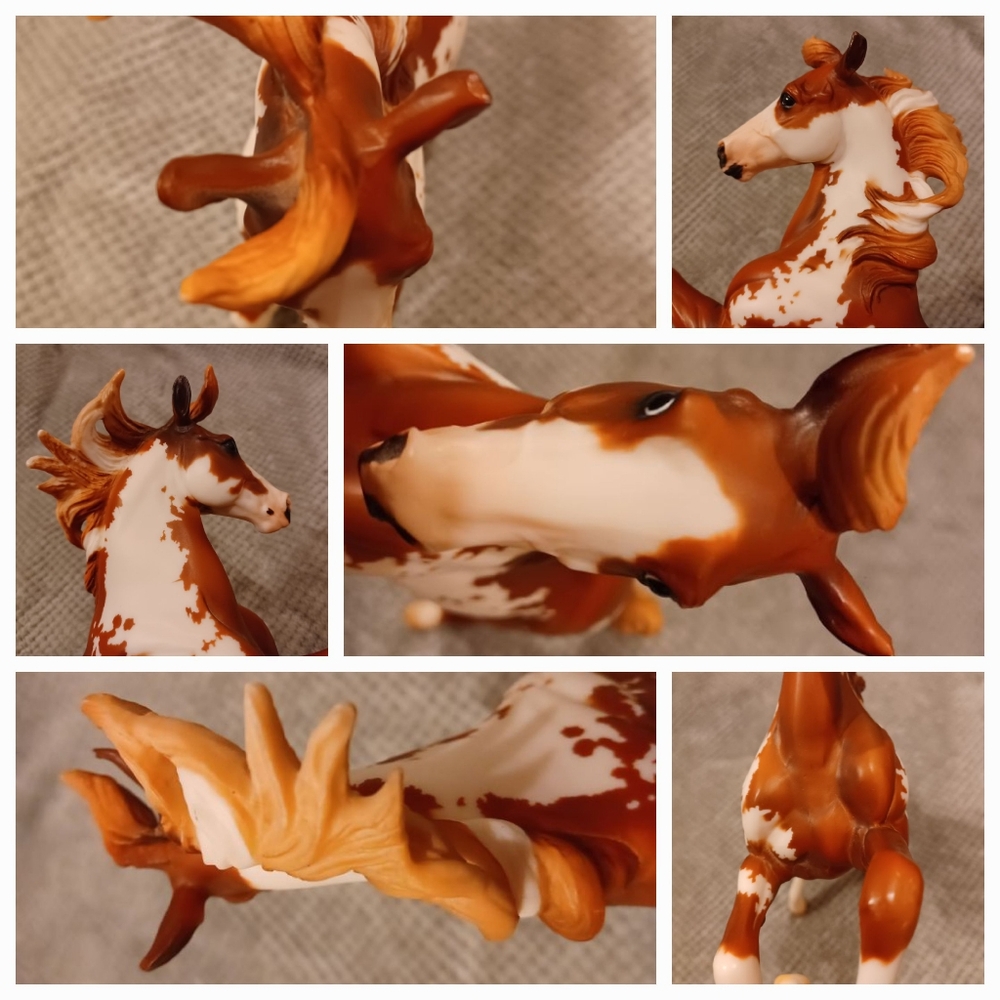Breyer Hidalgo - Picture 13 of 16